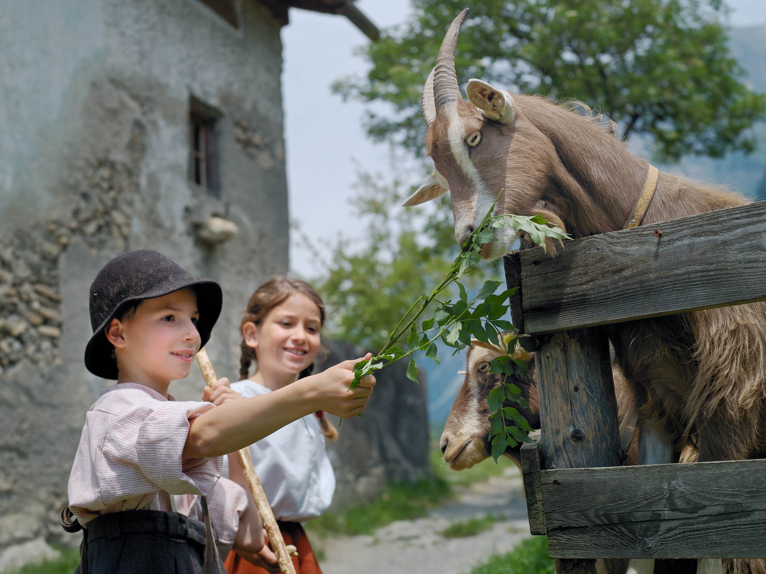 قرية هايدي Visit Graubunden