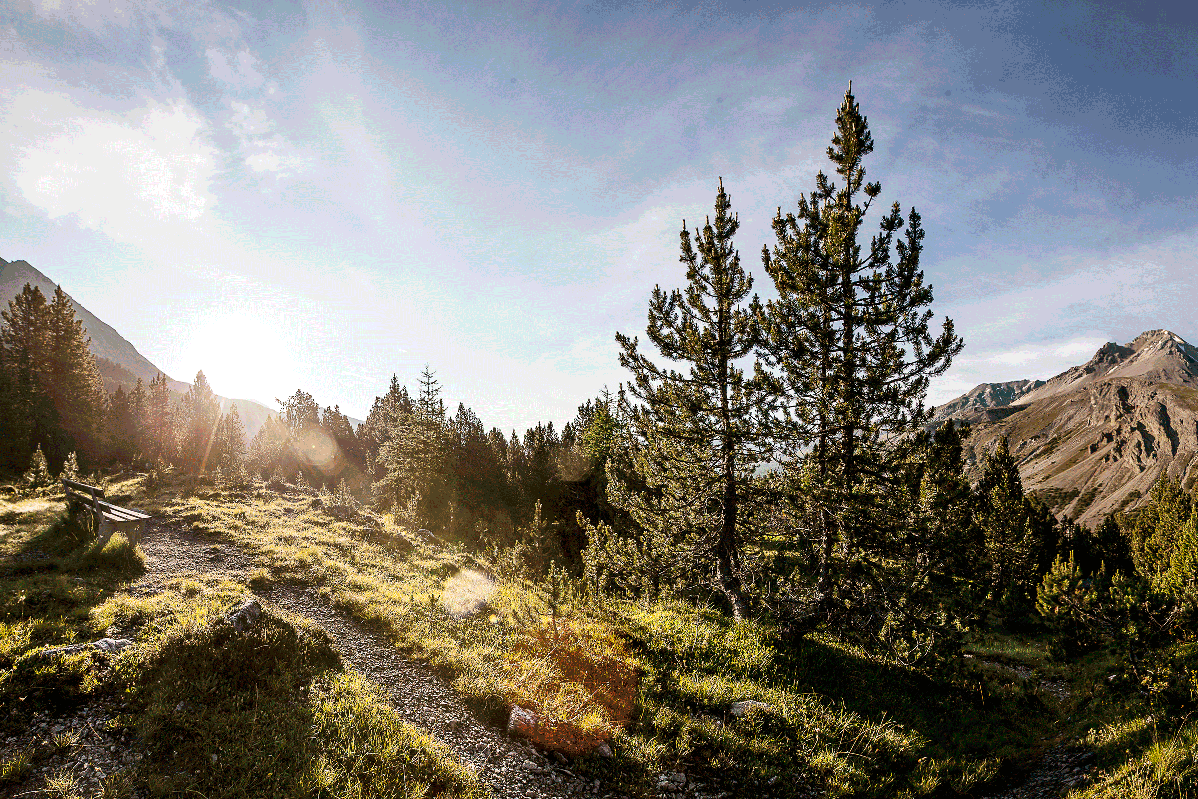 Schweizerischer Nationalpark ©Andrea Badrutt