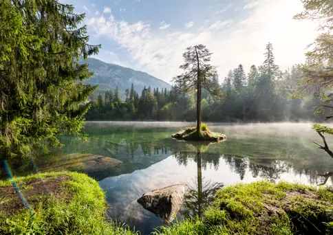 ©GRF, Marco Hartmann 2