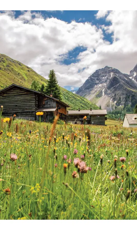 Sertig Sommer Stall Kirche Blumen Berge Wiese (C)Andreabadrutt Komprimiert (1)