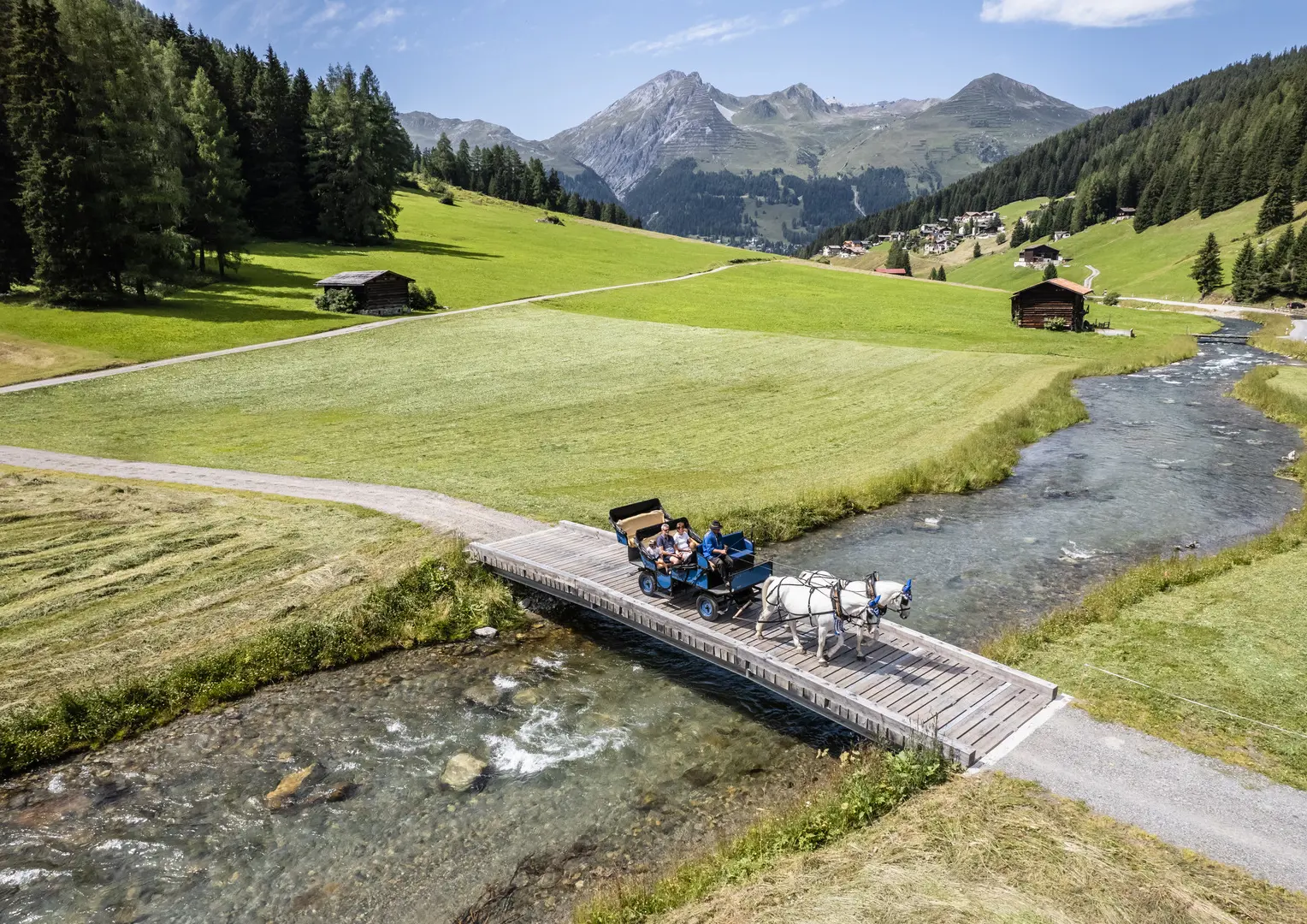 Familien Shooting Sommer Kutschenfahrt (C) Martin Bissig (75) (1)