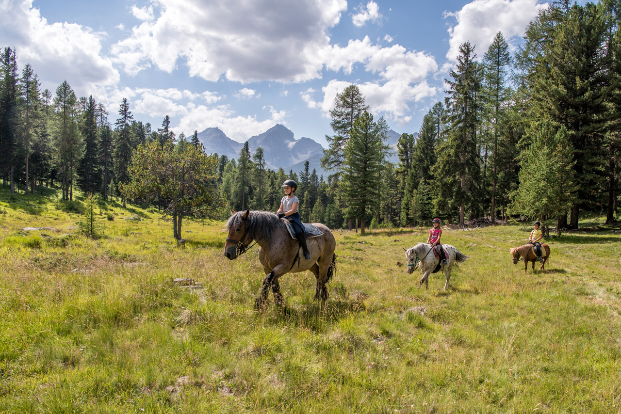 An equine Alpine adventure