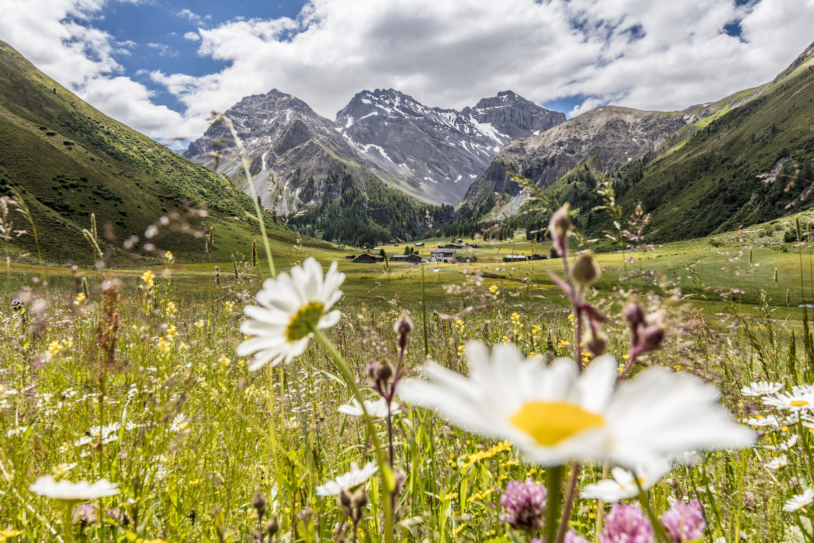 Davos Sommer ©Destination Davos Klosters, Andrea Badrutt